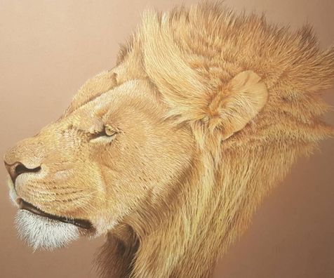 Lejon Porträtt